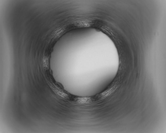 X0000113350096200909151202