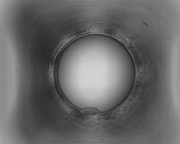 X0000113350098200909151202