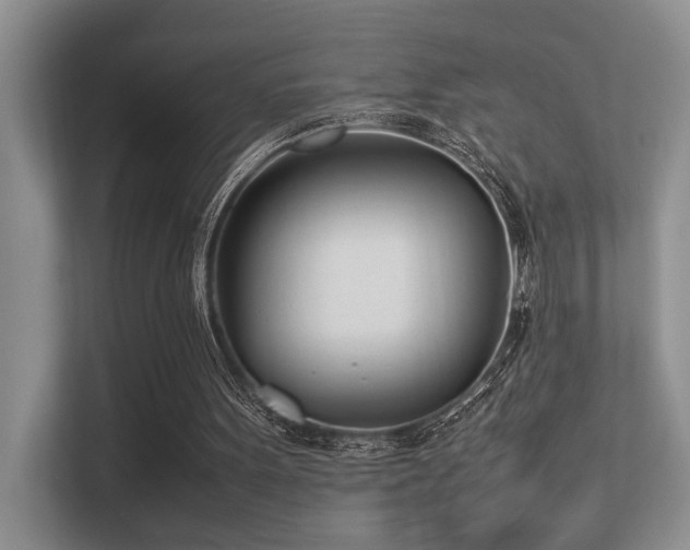 X0000113350099200909151202