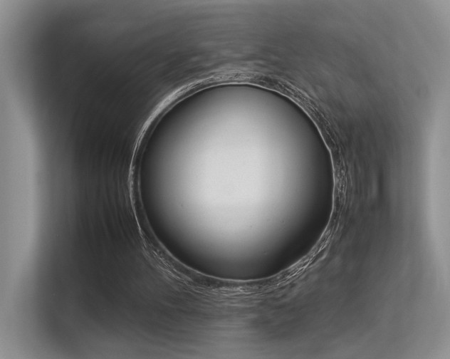 X0000113350100200909151202