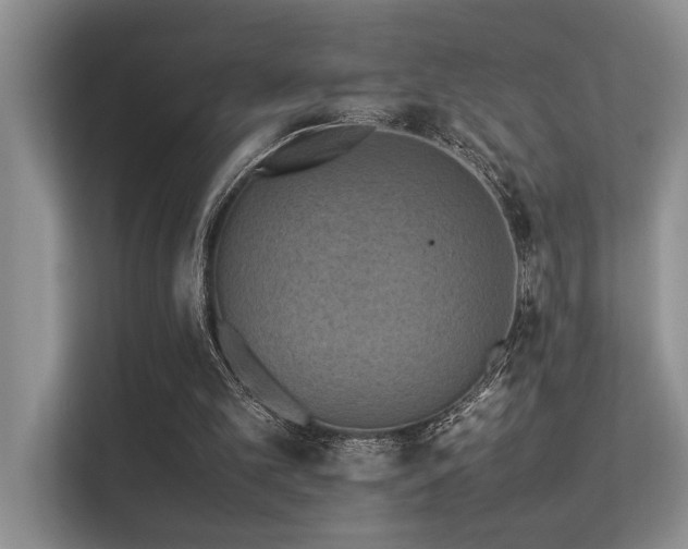 X0000113350101200909151202