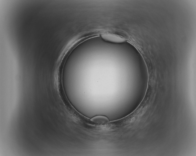 X0000113350103200909151202