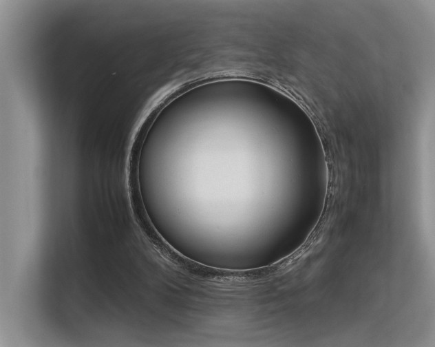 X0000113350104200909151202