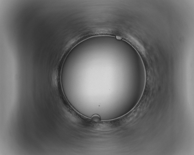 X0000113350107200909151202