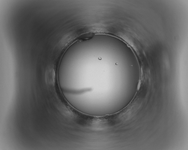 X0000113350109200909151202