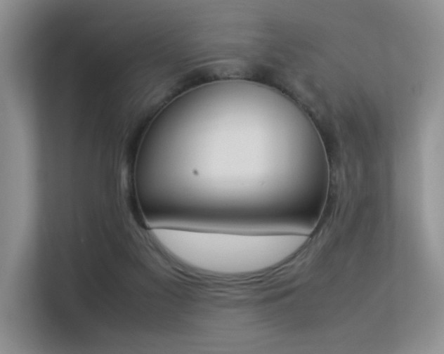 X0000113350117200909151201