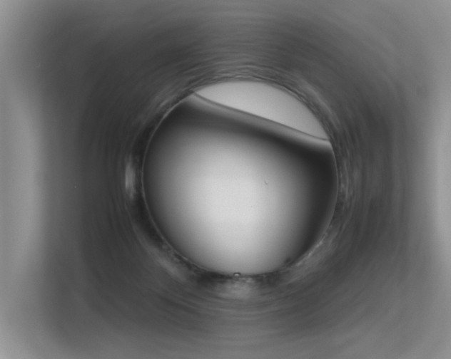 X0000113350124200909151201