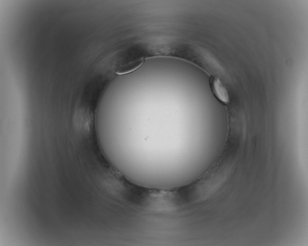 X0000113350125200909151201