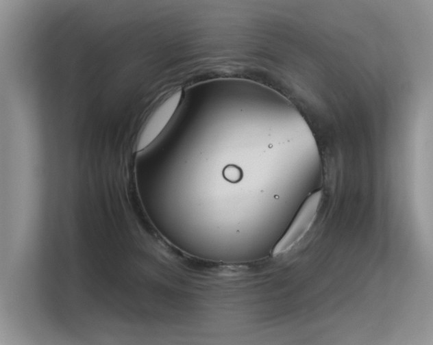 X0000113350128200909151201