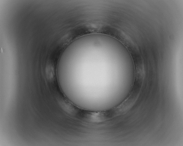 X0000113350130200909151201