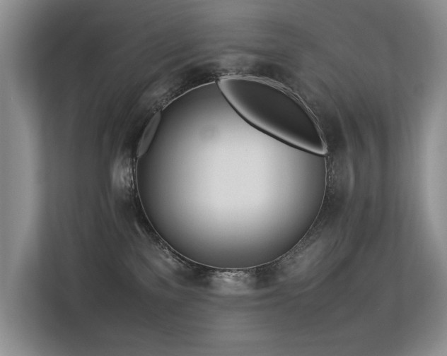 X0000113350137200909151201