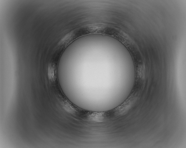 X0000113350138200909151201