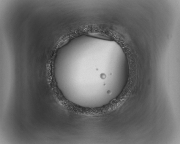 X0000113350144200909151201