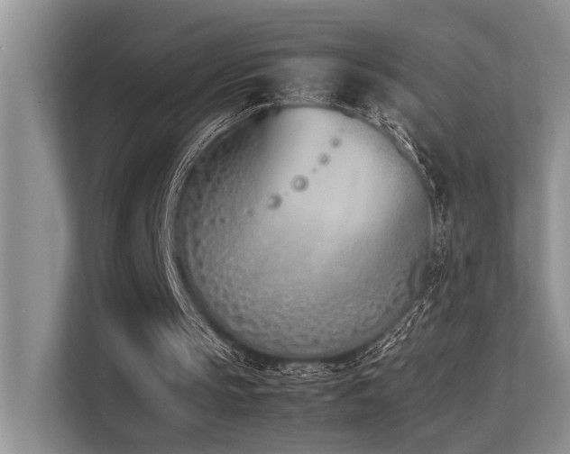 X0000113350145200909151200