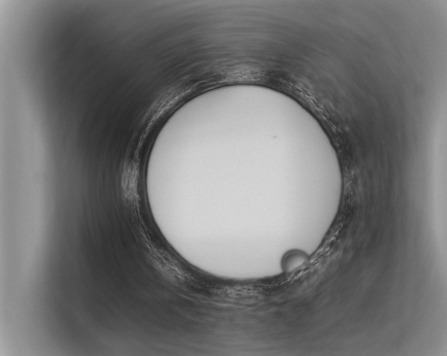 X0000113350146200909151200