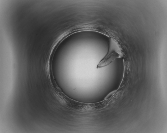 X0000113350148200909151200