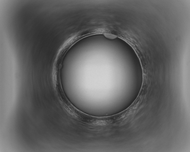 X0000113350149200909151200