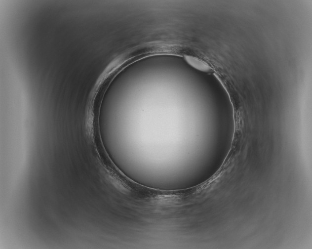 X0000113350150200909151200
