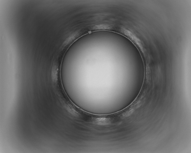 X0000113350153200909151201