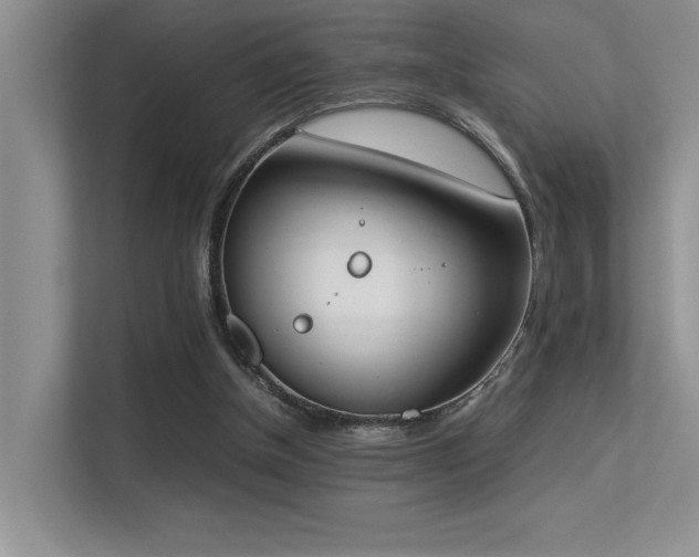 X0000113350154200909151201