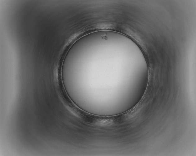 X0000113350155200909151201