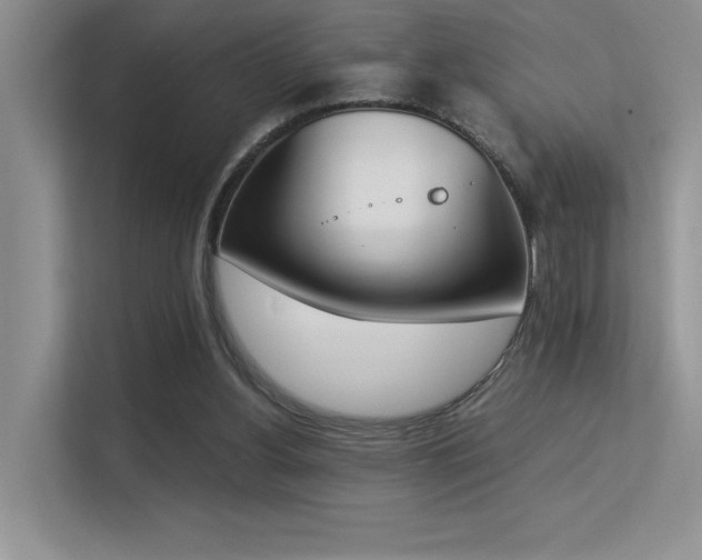 X0000113350156200909151201