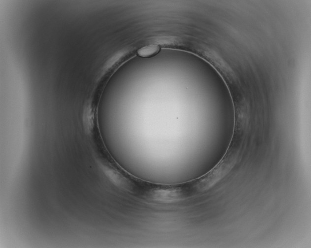 X0000113350160200909151201