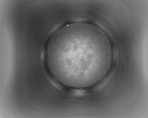 X0000113350165200909151201