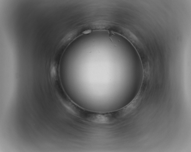 X0000113350166200909151201