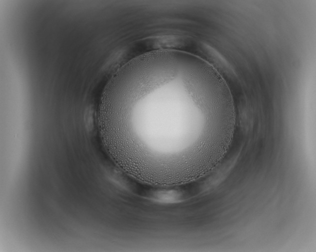 X0000113350169200909151201