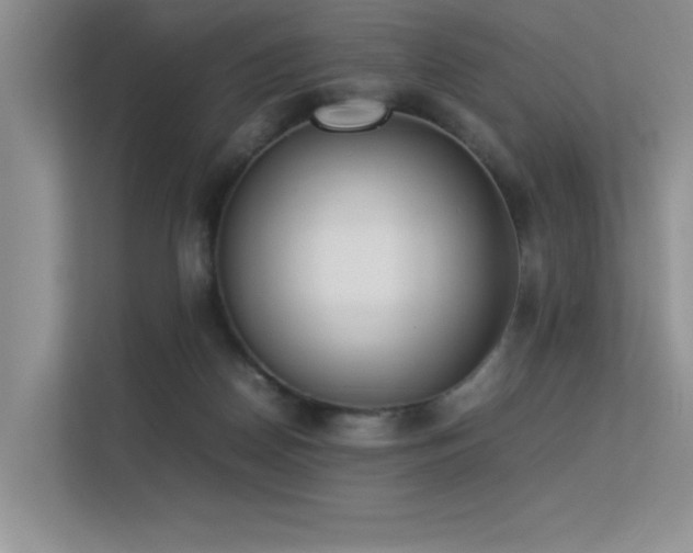 X0000113350170200909151201