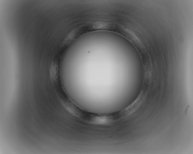 X0000113350171200909151201