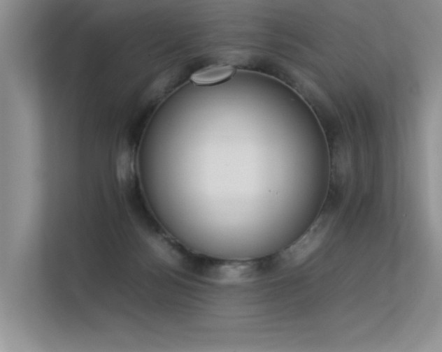 X0000113350172200909151201