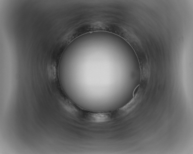 X0000113350183200909151201