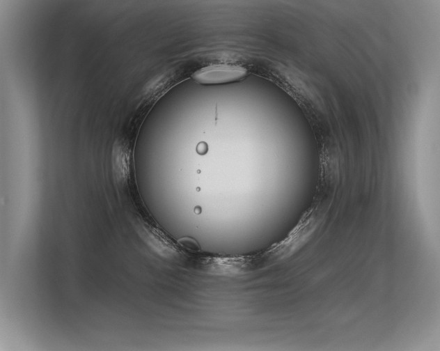 X0000113350188200909151201