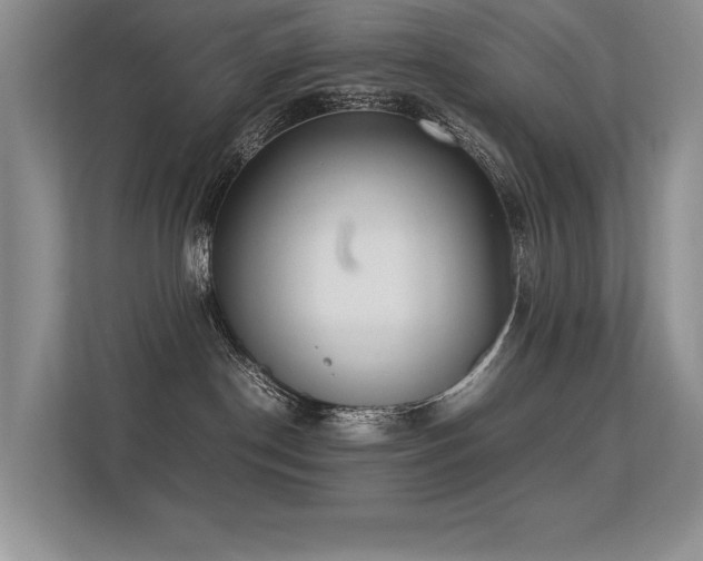 X0000113350190200909151201