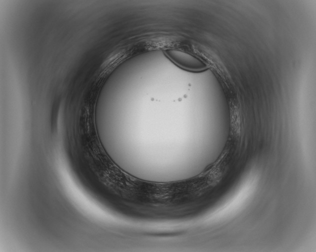 X0000113350191200909151201