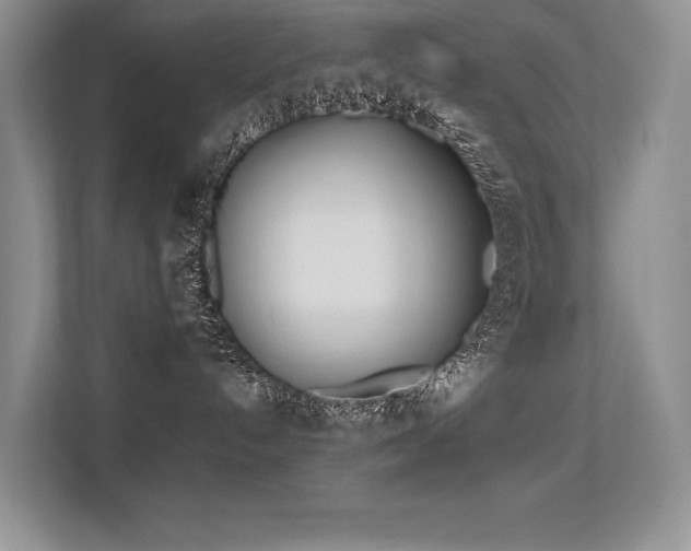 X0000113350192200909151201