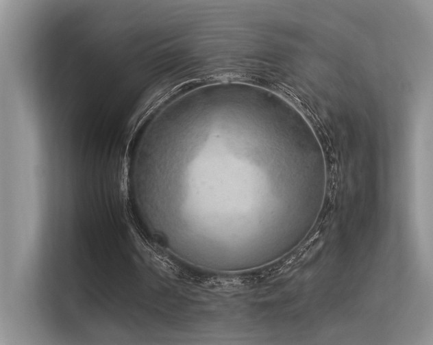 X0000113350194200909151200