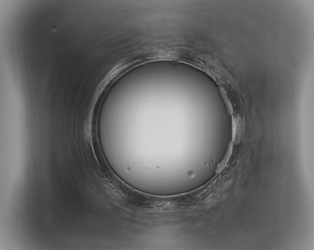 X0000113350195200909151200