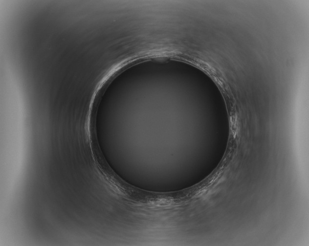 X0000113350196200909151200