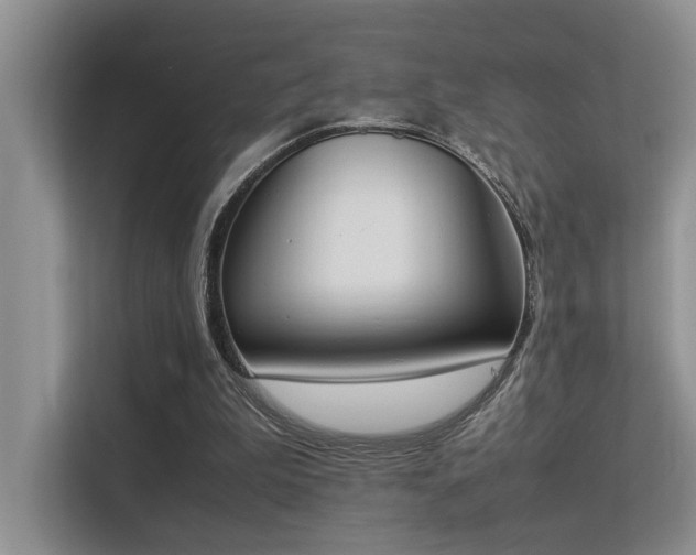 X0000113350199200909151200