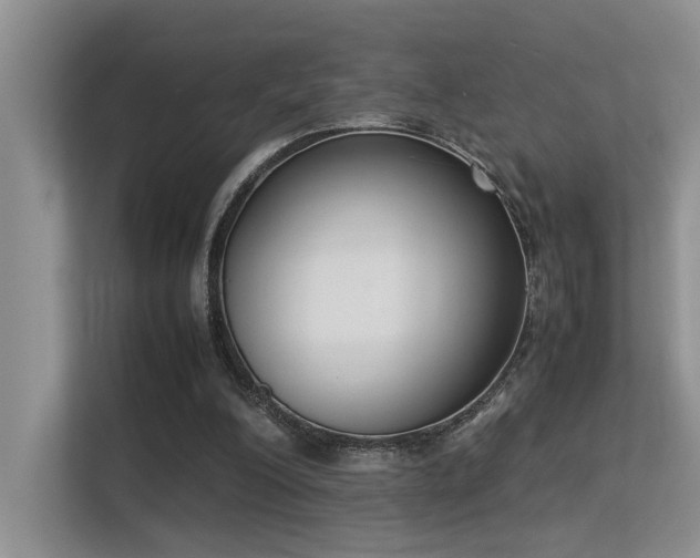 X0000113350200200909151200