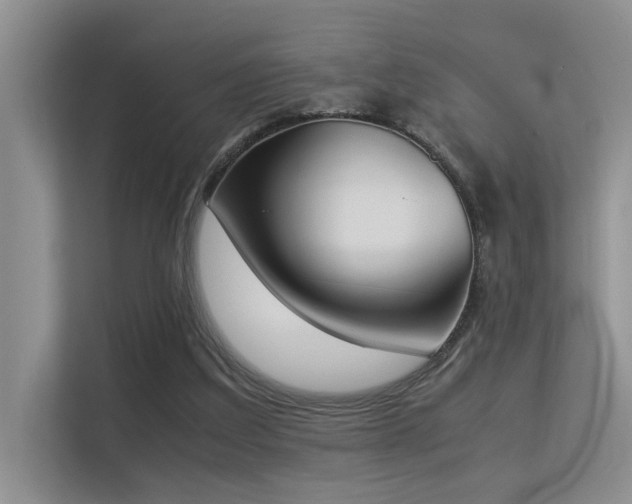 X0000113350203200909151200