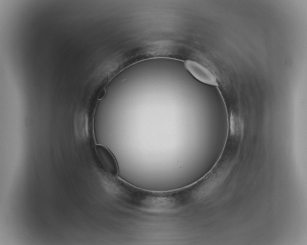 X0000113350205200909151200