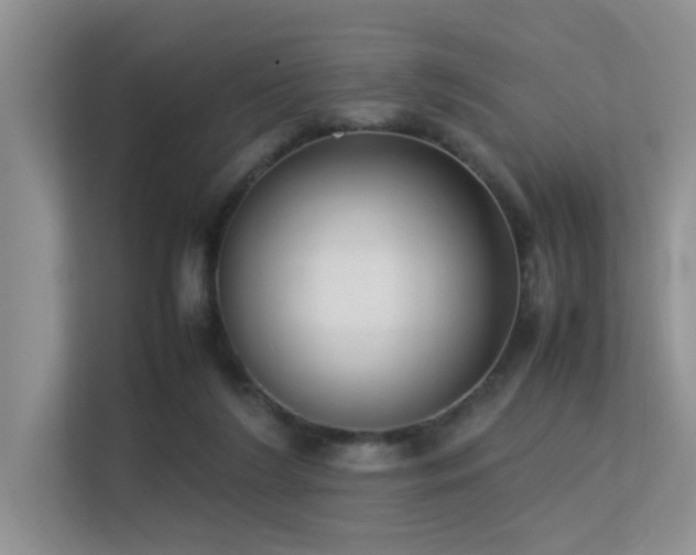 X0000113350212200909151200