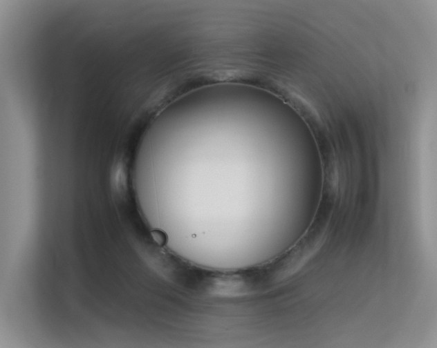 X0000113350214200909151200