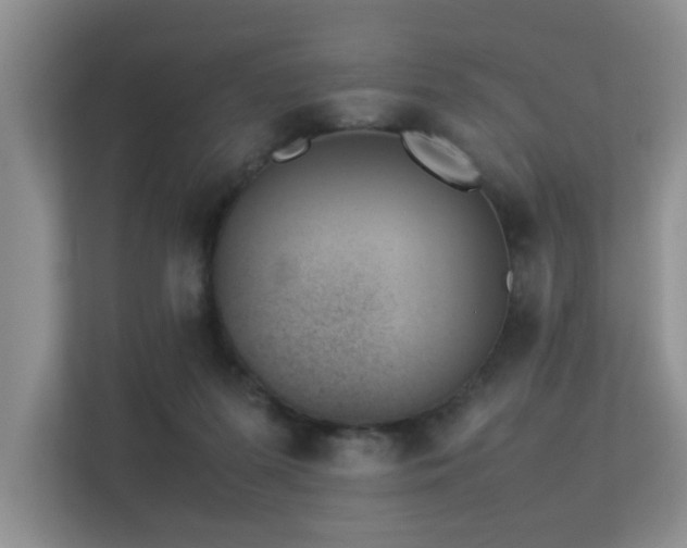 X0000113350215200909151200