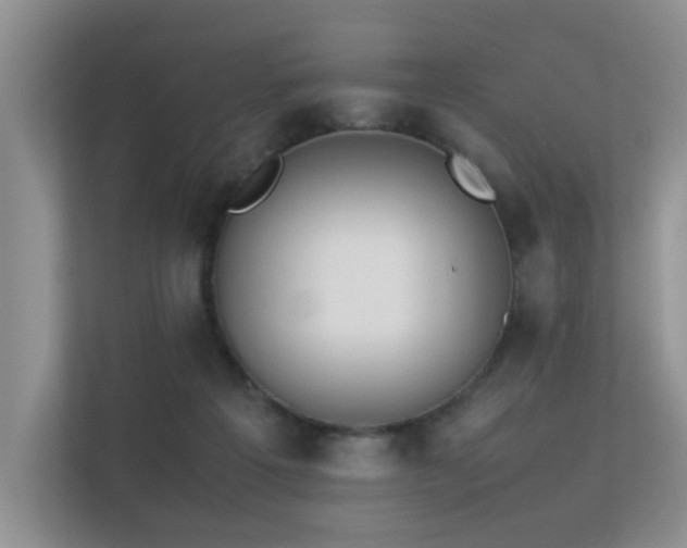X0000113350217200909151200