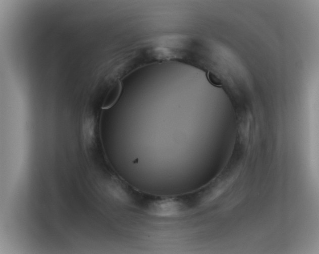 X0000113350219200909151200